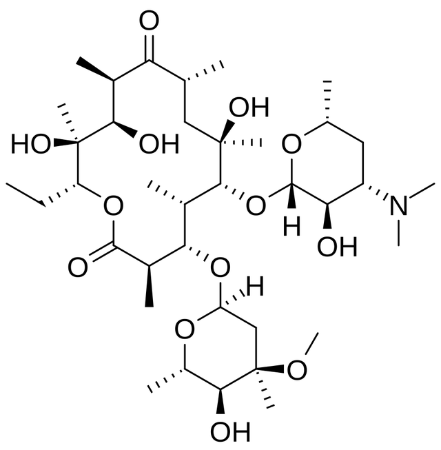 Érythromycine