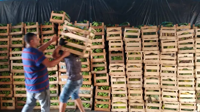Crate