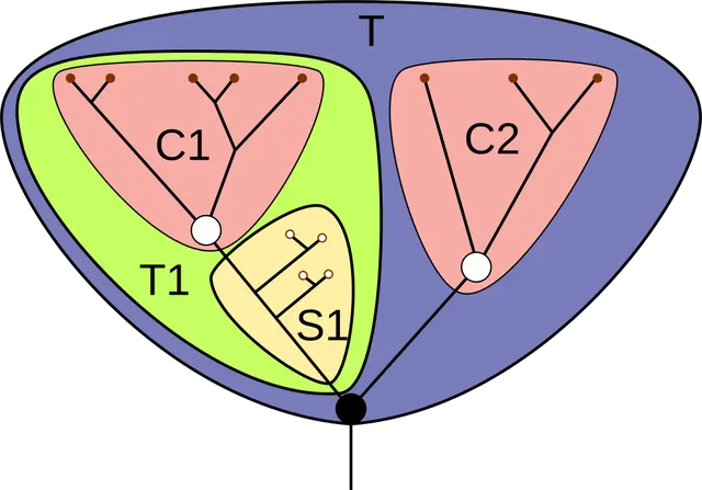 Groupe-couronne