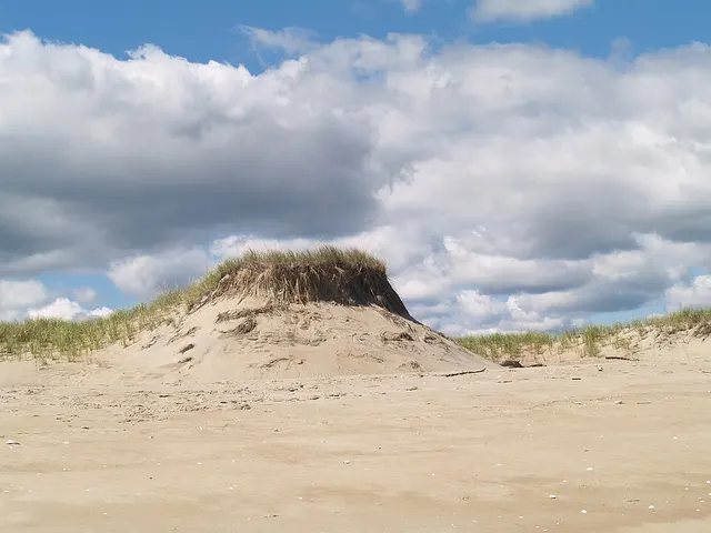 Plum Island