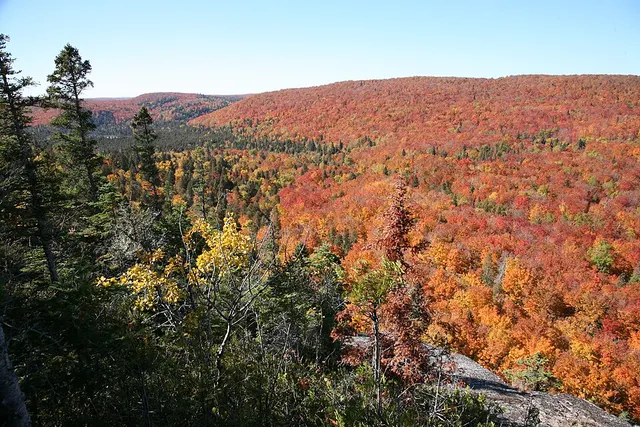 Moose Mountain