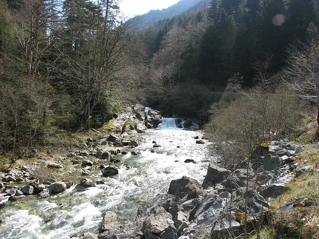 Gave d'Ossau