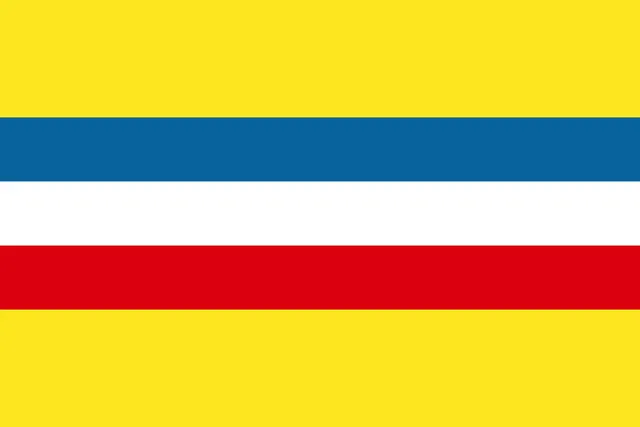 Young China Party