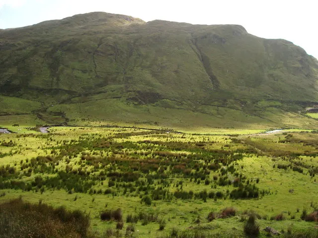 Monts Bluestack