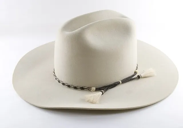Chapeau de cow-boy
