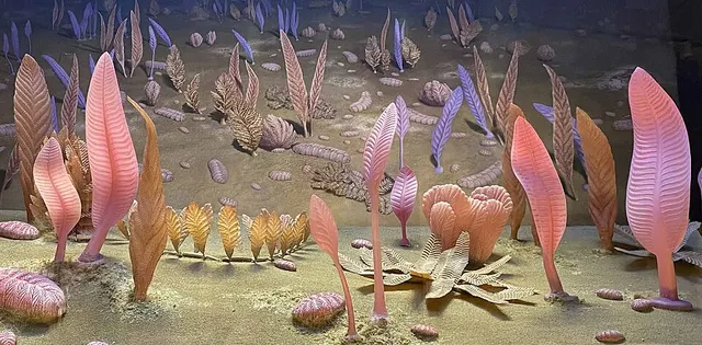 Faune de l'Édiacarien