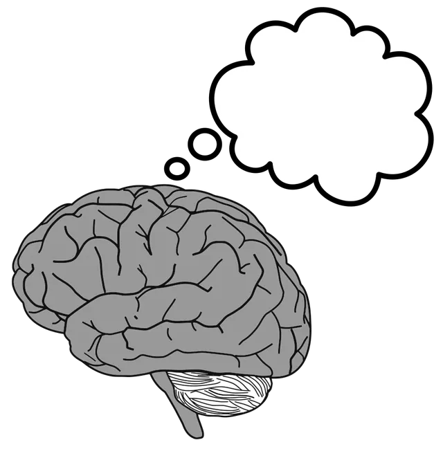Cognition
