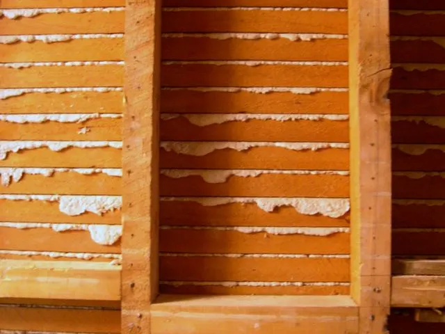 Lath and plaster