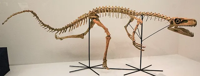 Staurikosaurus
