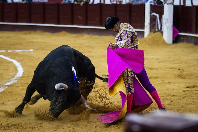Spanish-style bullfighting