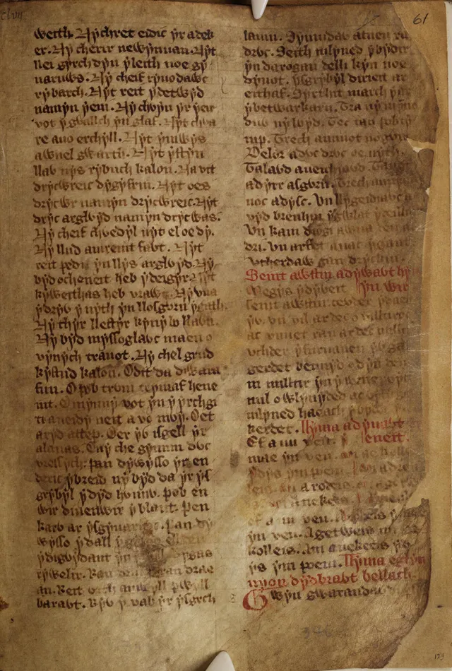 White Book of Rhydderch