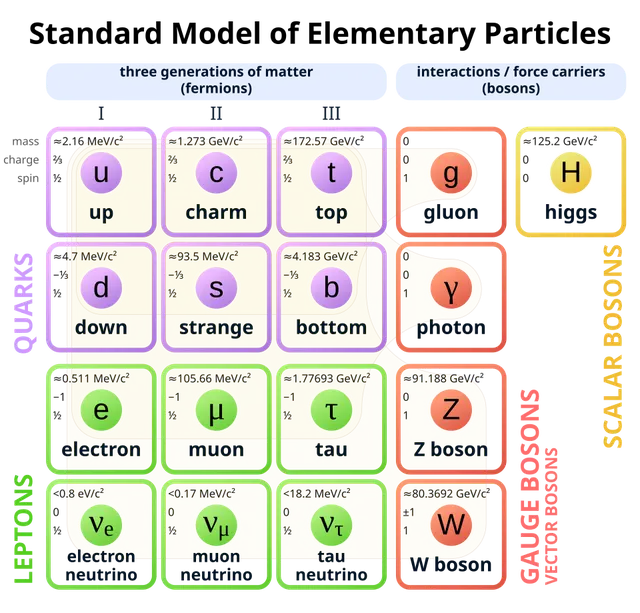 Elementary particle