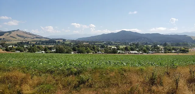 Tapawera