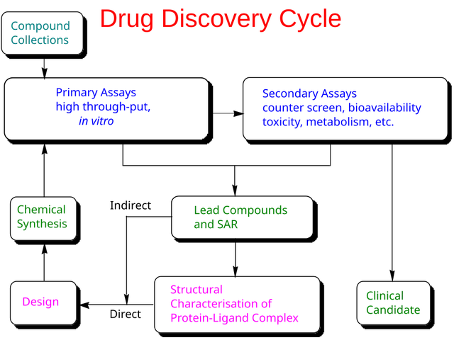 Preclinical development