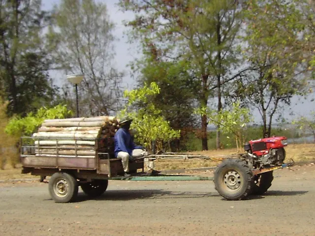 Two-wheel tractor