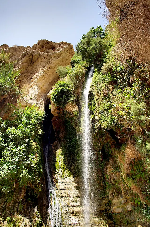 Ein Gedi
