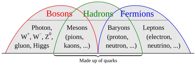 Fermion