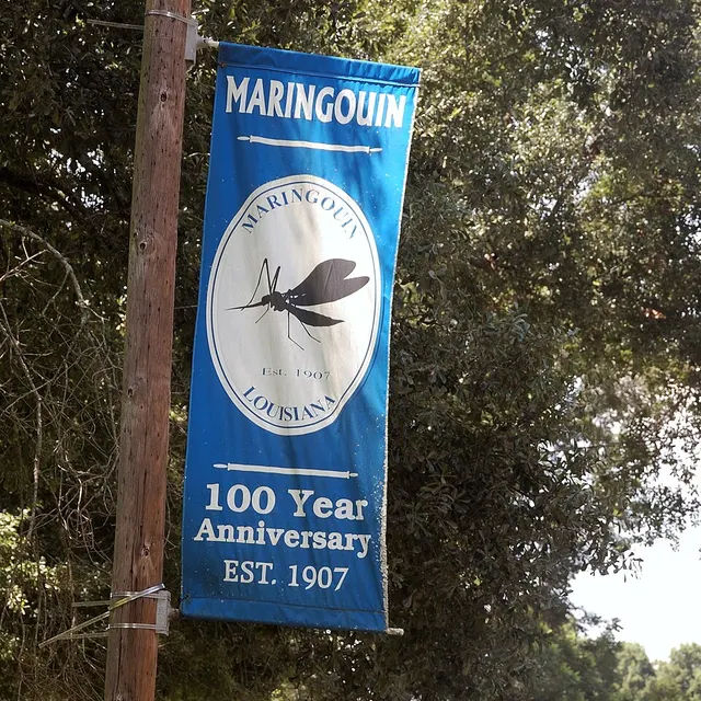 Maringouin, Louisiana