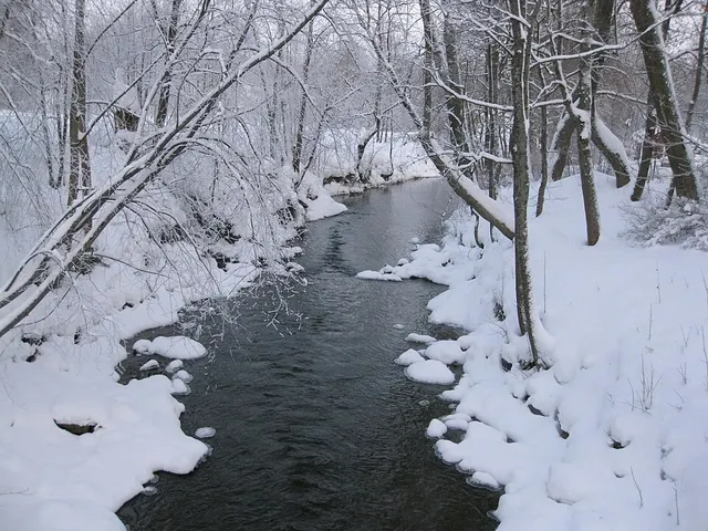Forsån