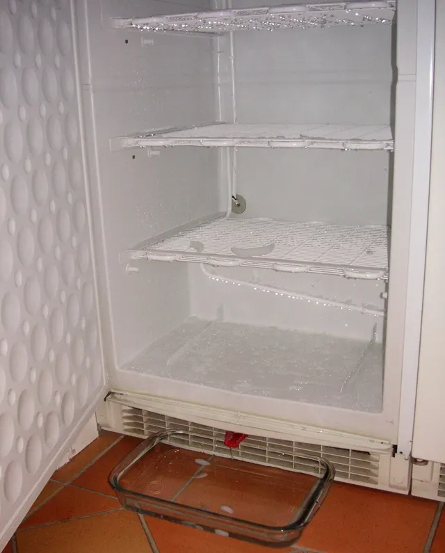 Defrosting