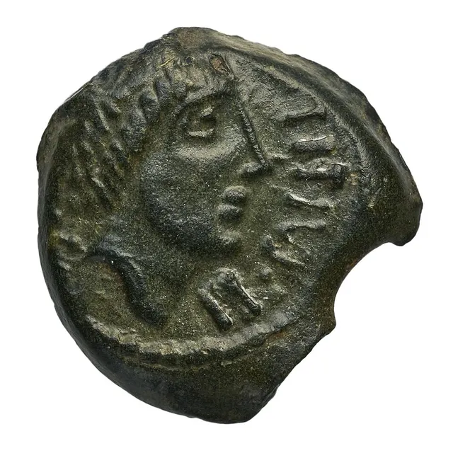 Lexovii