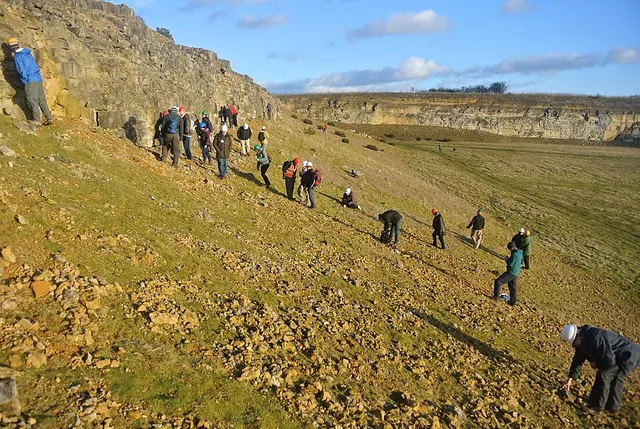 The Palaeontological Association