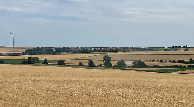 Biedesheim