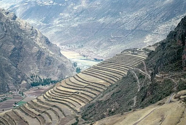 Inca agriculture