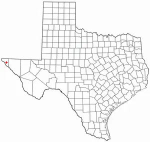 Montana Vista, Texas