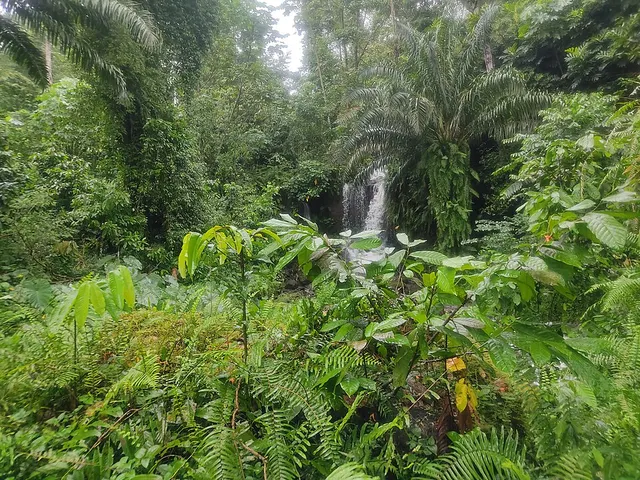 Wildlife of São Tomé and Príncipe