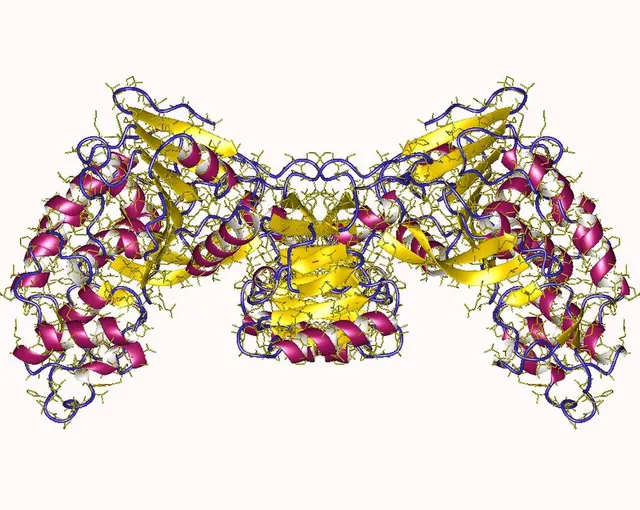 RNA helicase