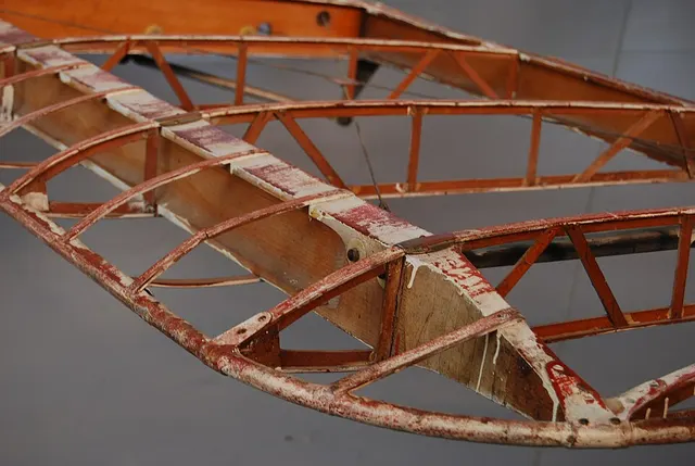 Rib