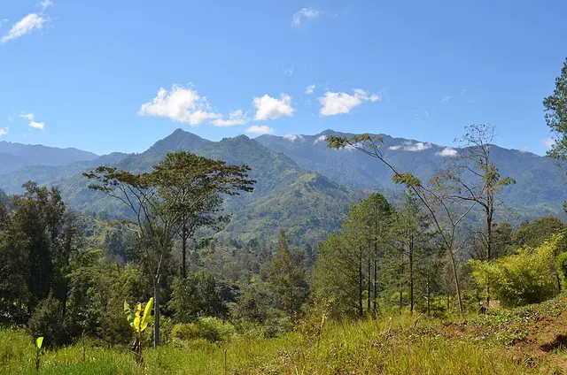New Guinea Highlands