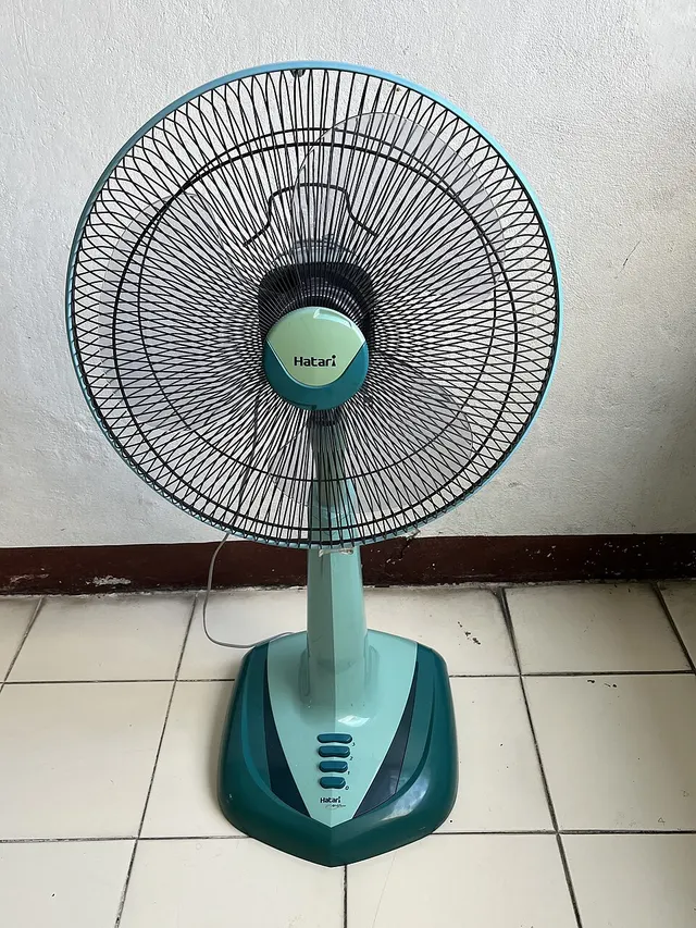 Fan