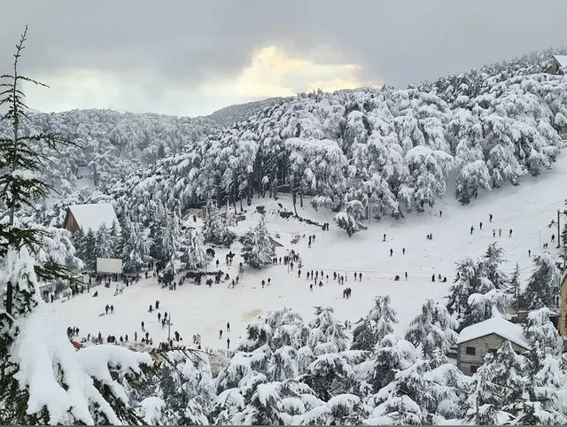 Blida