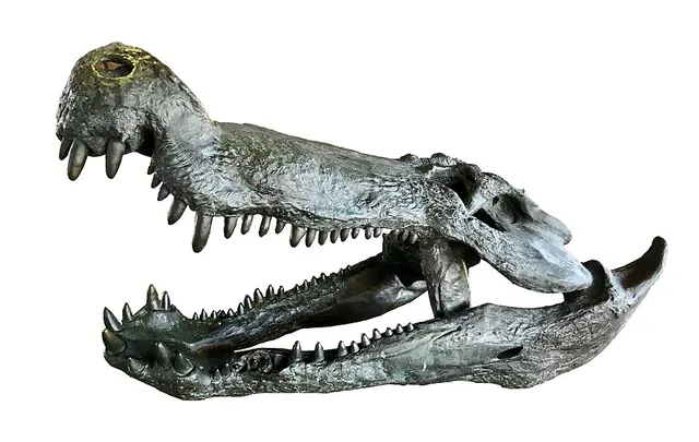 Deinosuchus
