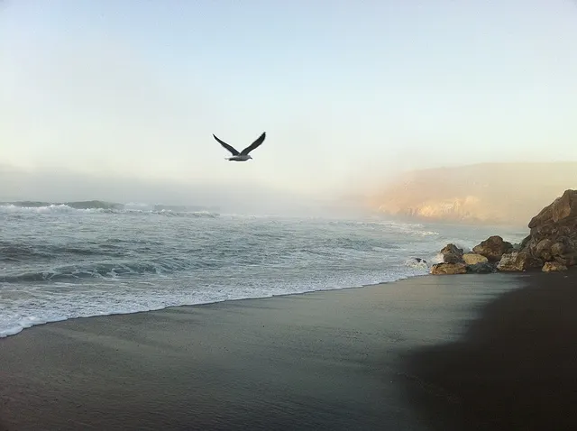 Rockaway Creek