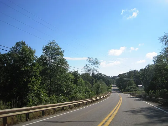 Mineral Township, Pennsylvania