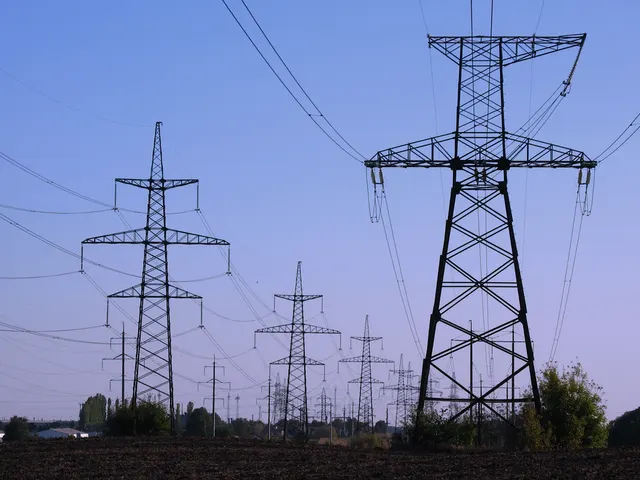 Overhead power line