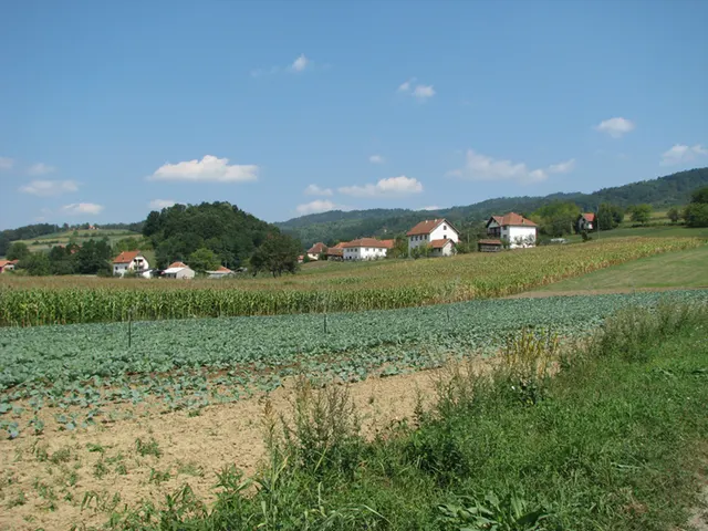 Bjelotići