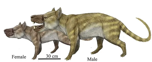 Ankalagon