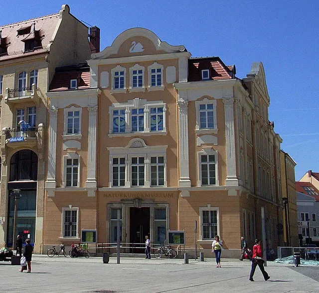 Senckenberg Museum for Natural History Görlitz