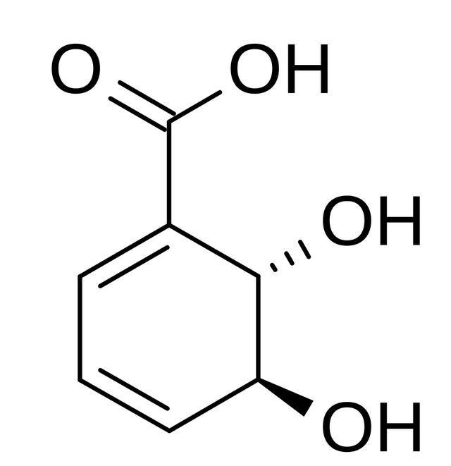 2,3-dihydro-2,3-dihydroxybenzoate dehydrogenase