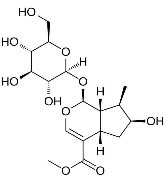 Secologanin synthase