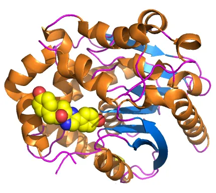 Renilla-luciferin 2-monooxygenase