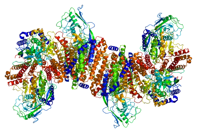 Transferrin receptor 1