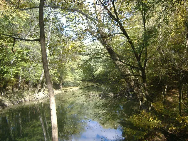Silver Creek