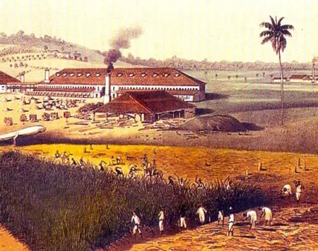 Plantation