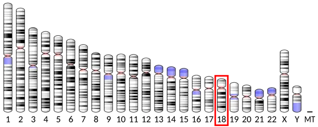 Galanin receptor 1