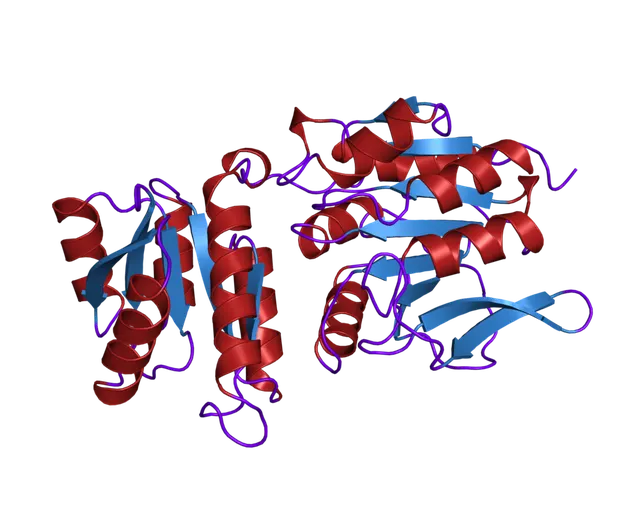 Protein-glutamate methylesterase